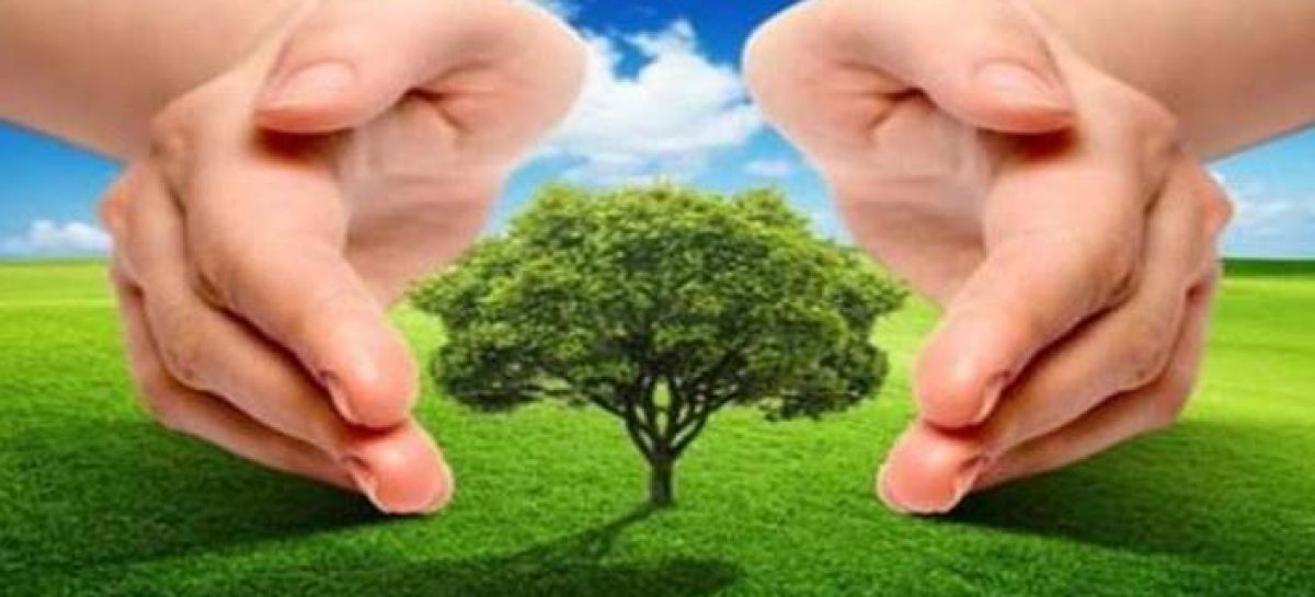 Reciclagem e Sustentabilidade